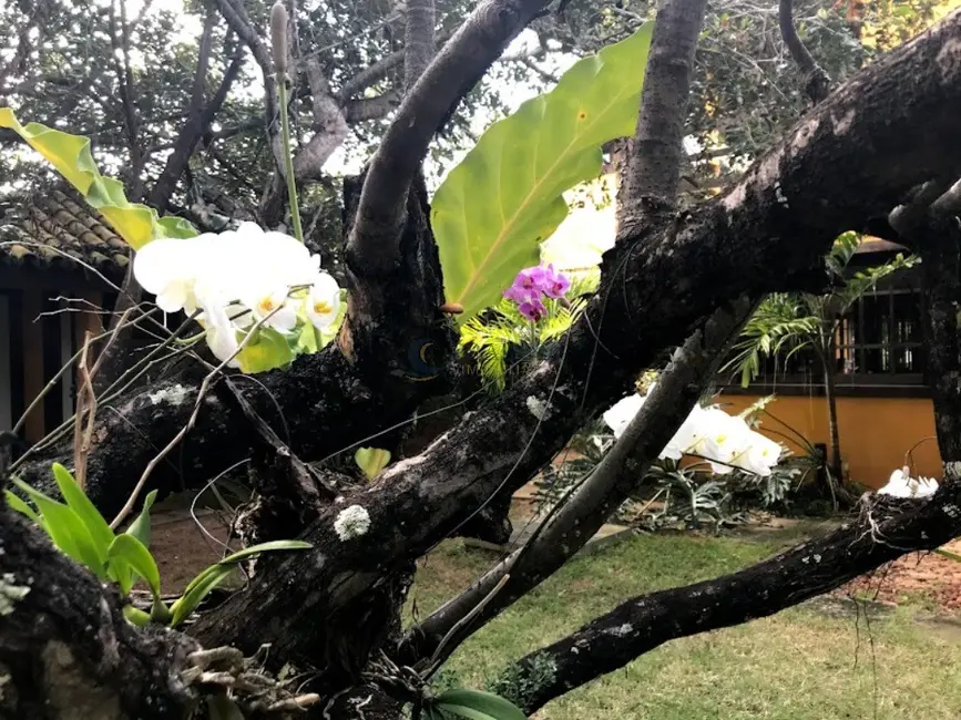 Casa de Condomínio com 4 quartos à venda, 450m2 em Mata De Sao Joao - BA - imagem 5 Foto 5 de Casa de Condomínio com 4 quartos à venda, 450m2 em Mata De Sao Joao - BA
