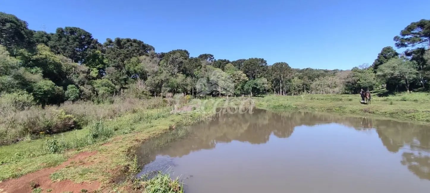 Foto 9 de Chácara à venda em Guairaca - PR