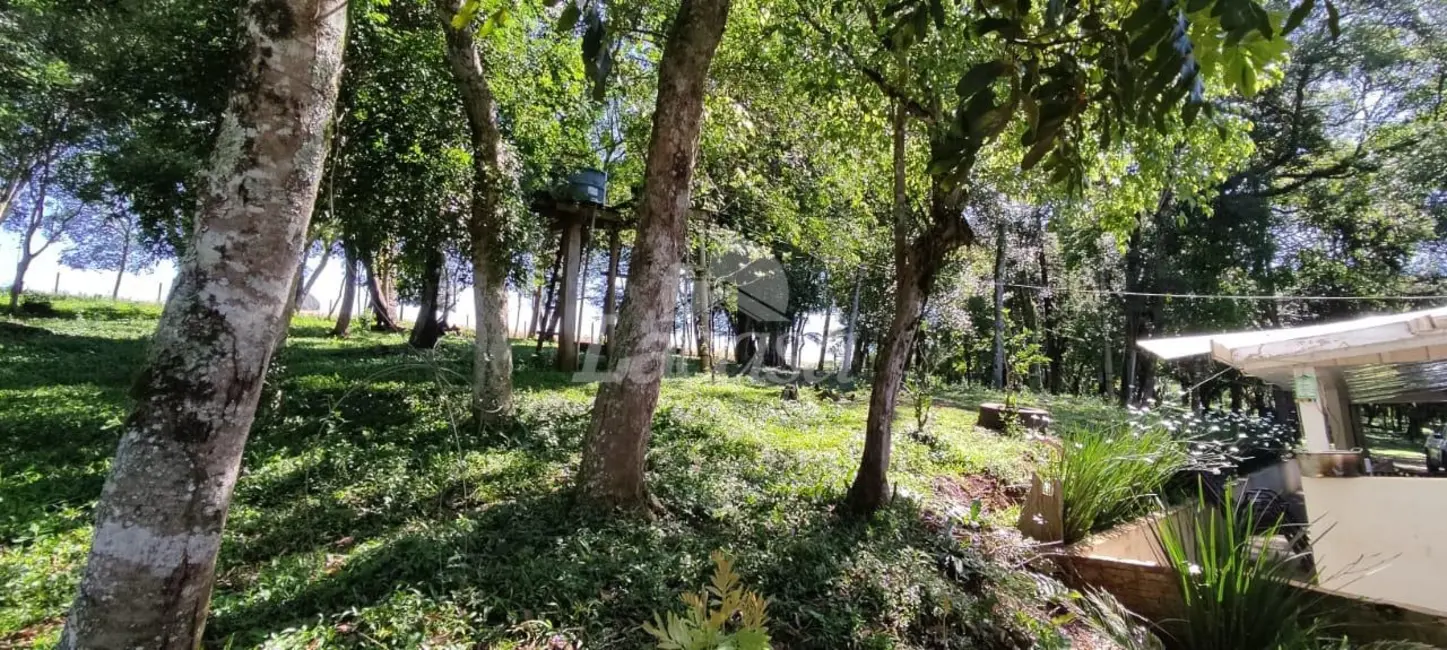 Foto 4 de Chácara à venda em Guairaca - PR