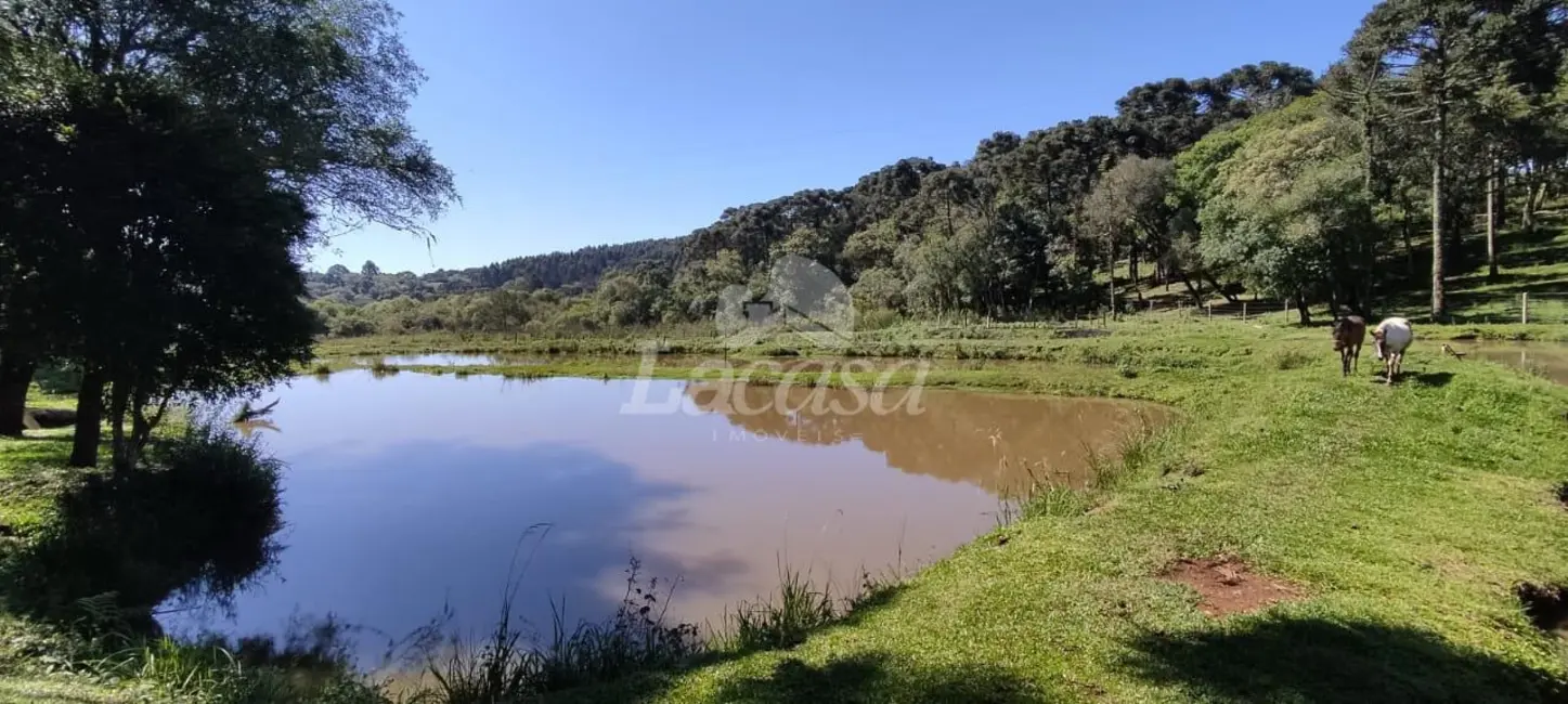 Foto 10 de Chácara à venda em Guairaca - PR