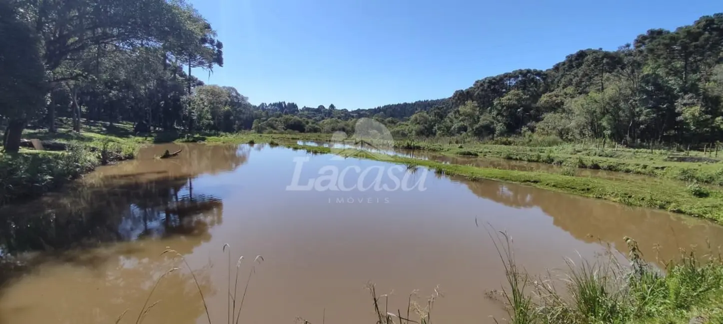 Foto 8 de Chácara à venda em Guairaca - PR