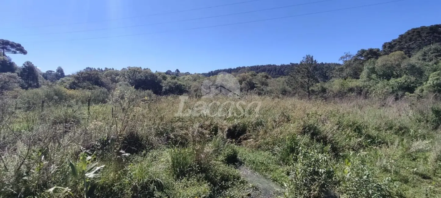 Foto 5 de Chácara à venda em Guairaca - PR