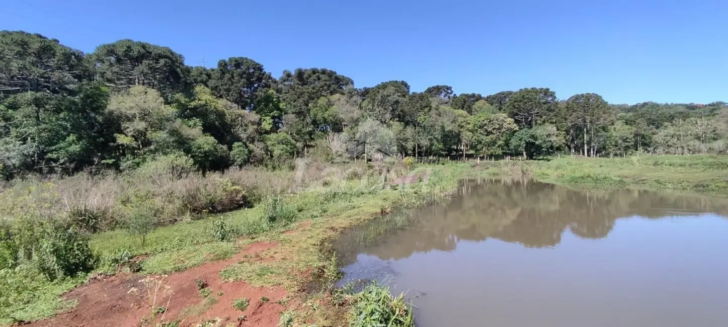 Foto 7 de Chácara à venda em Guairaca - PR