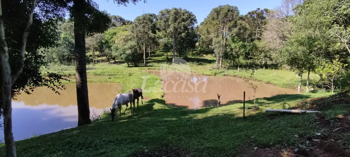 Foto 6 de Chácara à venda em Guairaca - PR