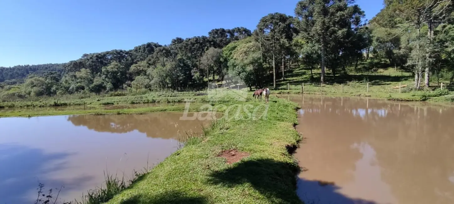 Foto 12 de Chácara à venda em Guairaca - PR