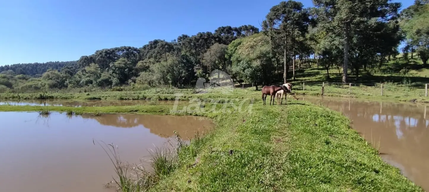 Foto 1 de Chácara à venda em Guairaca - PR
