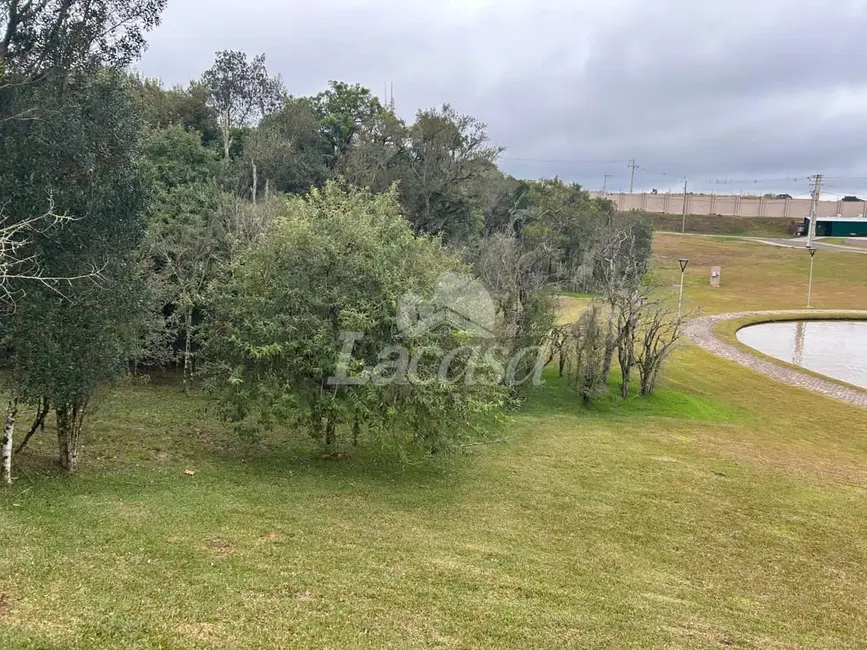 Foto 4 de Terreno / Lote à venda, 385m2 em Morro Alto, Guarapuava - PR