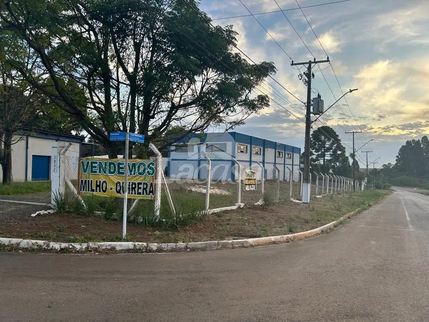 Foto 2 de Armazém / Galpão para alugar, 410m2 em Alto Cascavel, Guarapuava - PR