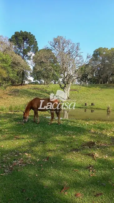 Foto 17 de Chácara à venda, 13m2 em Guarapuava - PR