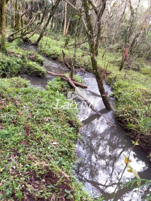 Foto 22 de Chácara à venda, 13m2 em Guarapuava - PR