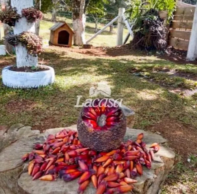 Foto 10 de Chácara à venda, 13m2 em Guarapuava - PR