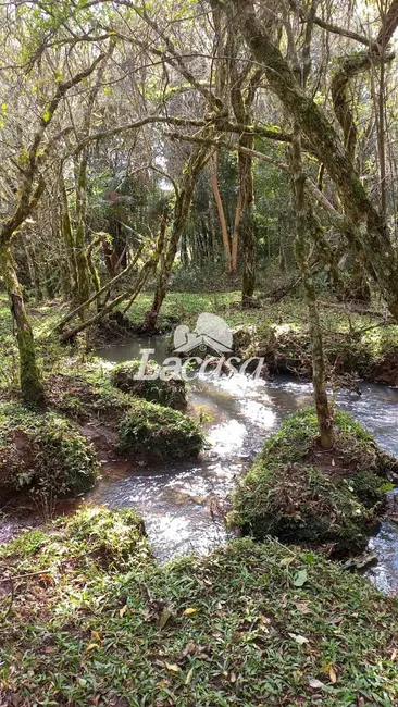 Foto 28 de Chácara à venda, 13m2 em Guarapuava - PR