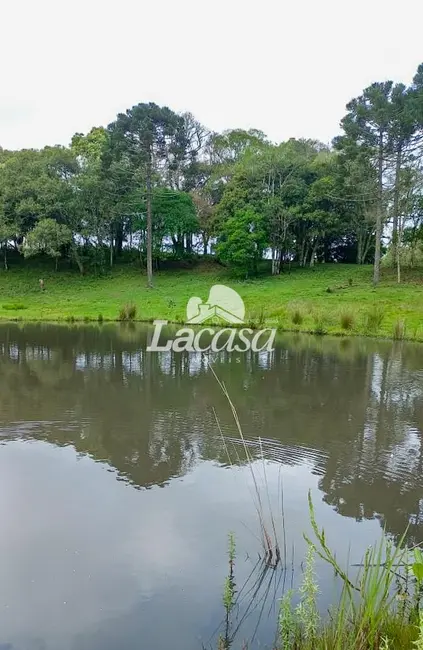 Foto 18 de Chácara à venda, 13m2 em Guarapuava - PR