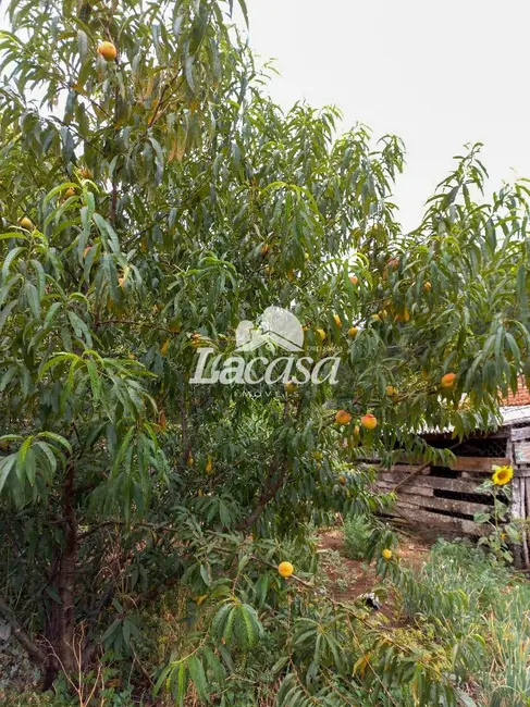 Foto 25 de Chácara à venda, 13m2 em Guarapuava - PR