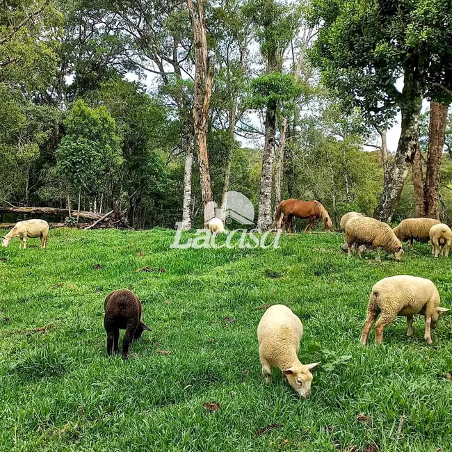 Foto 27 de Chácara à venda, 13m2 em Guarapuava - PR