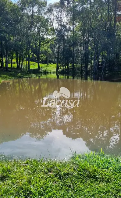 Foto 14 de Chácara à venda, 13m2 em Guarapuava - PR