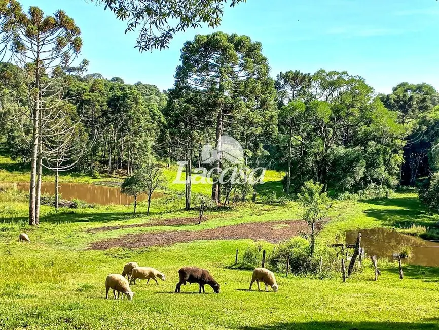 Foto 1 de Chácara à venda, 13m2 em Guarapuava - PR