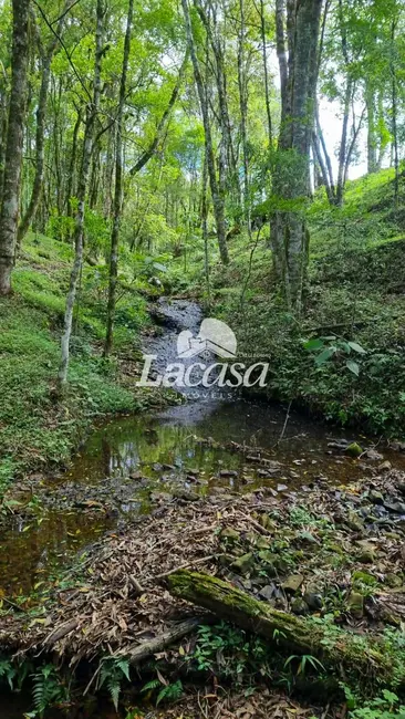 Foto 15 de Chácara à venda, 13m2 em Guarapuava - PR