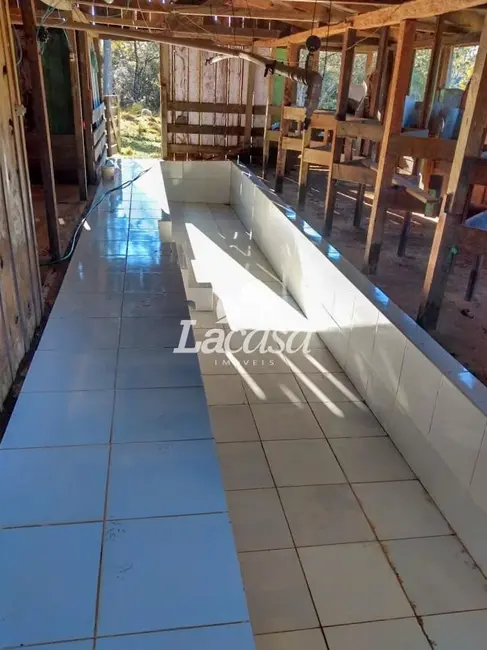 Foto 8 de Chácara à venda, 13m2 em Guarapuava - PR