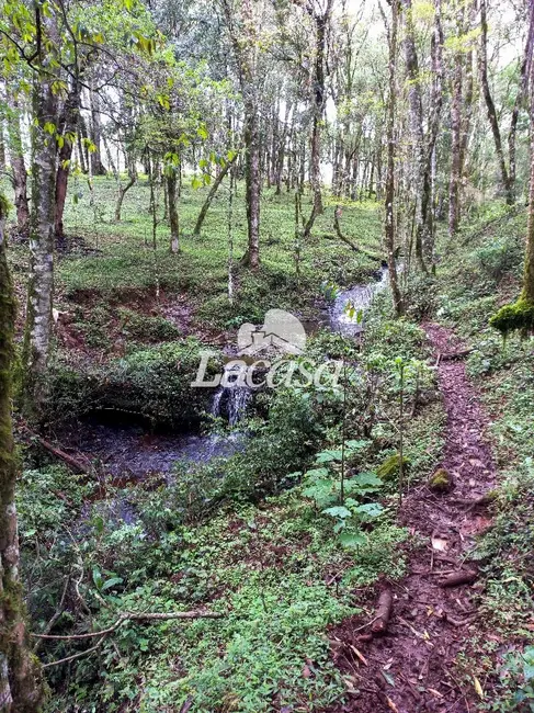 Foto 20 de Chácara à venda, 13m2 em Guarapuava - PR
