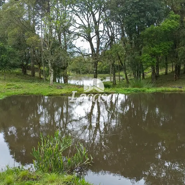 Foto 5 de Chácara à venda, 13m2 em Guarapuava - PR