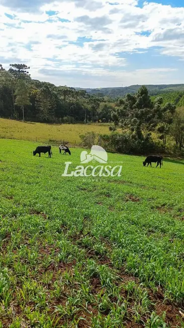 Foto 16 de Chácara à venda, 13m2 em Guarapuava - PR