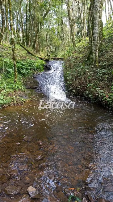 Foto 19 de Chácara à venda, 13m2 em Guarapuava - PR