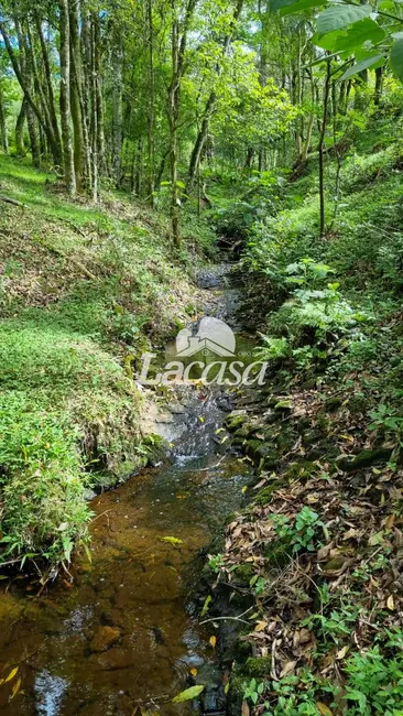 Foto 13 de Chácara à venda, 13m2 em Guarapuava - PR
