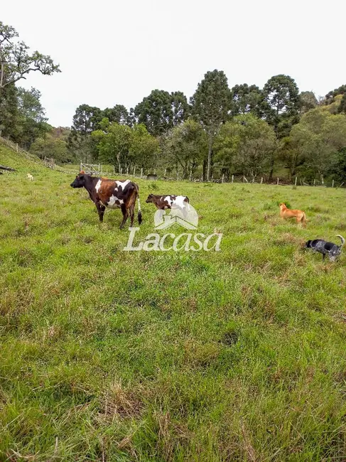 Foto 12 de Chácara à venda, 13m2 em Guarapuava - PR