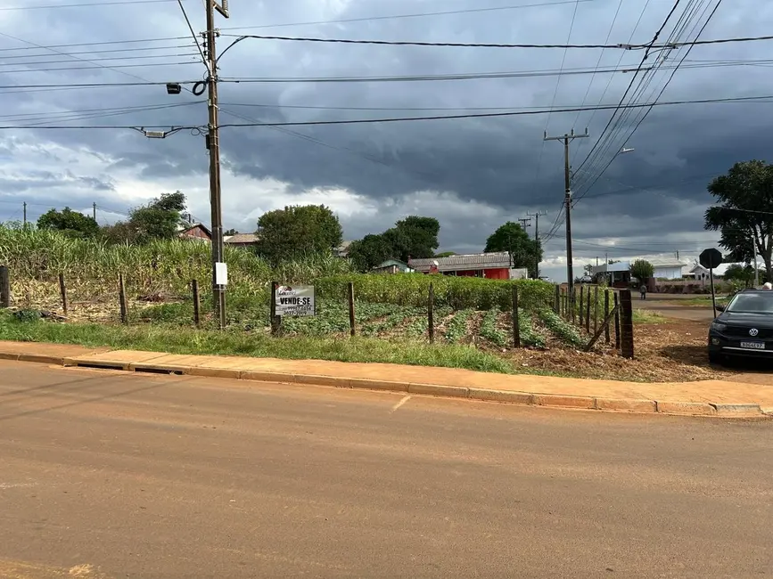Foto 3 de Terreno / Lote à venda, 1200m2 em Guarapuava - PR