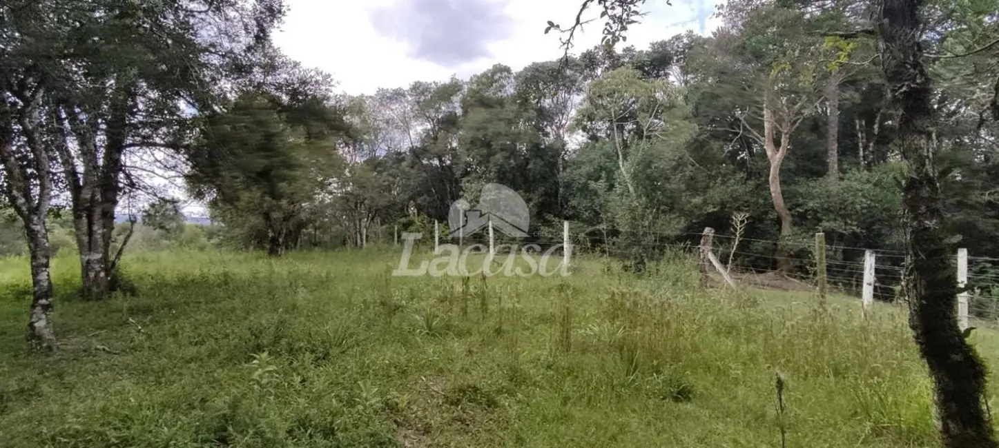 Foto 19 de Chácara à venda, 40000m2 em Santana, Guarapuava - PR