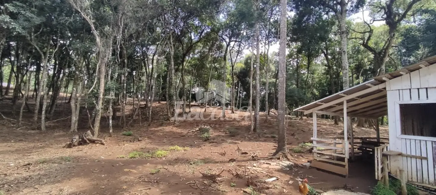 Foto 15 de Chácara à venda, 40000m2 em Santana, Guarapuava - PR