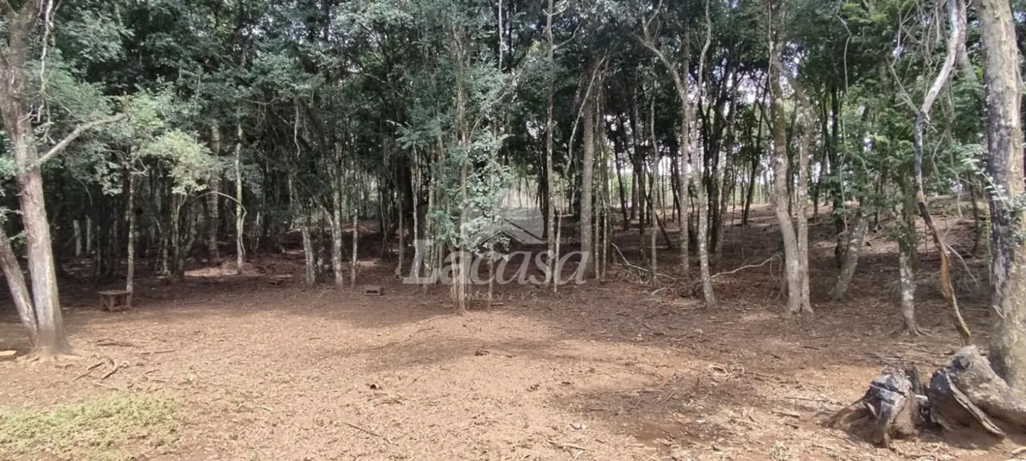 Foto 13 de Chácara à venda, 40000m2 em Santana, Guarapuava - PR