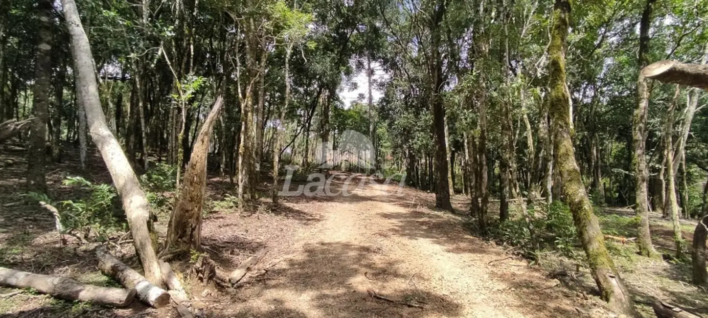 Foto 16 de Chácara à venda, 40000m2 em Santana, Guarapuava - PR