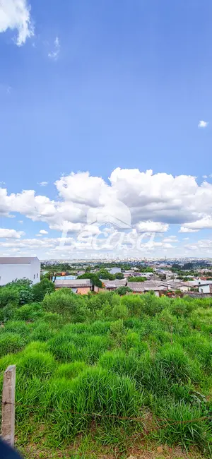 Foto 9 de Terreno / Lote à venda, 600m2 em Jardim das Américas, Guarapuava - PR