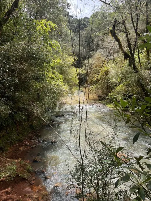 Foto 6 de Terreno / Lote à venda em Guarapuava - PR