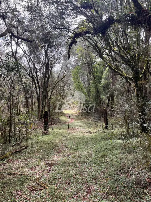 Foto 4 de Terreno / Lote à venda em Guarapuava - PR