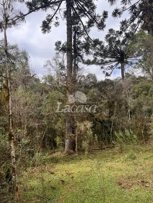 Foto 7 de Terreno / Lote à venda em Guarapuava - PR