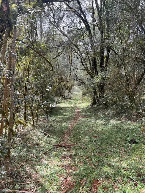 Foto 3 de Terreno / Lote à venda em Guarapuava - PR