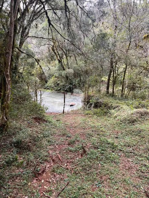 Foto 5 de Terreno / Lote à venda em Guarapuava - PR