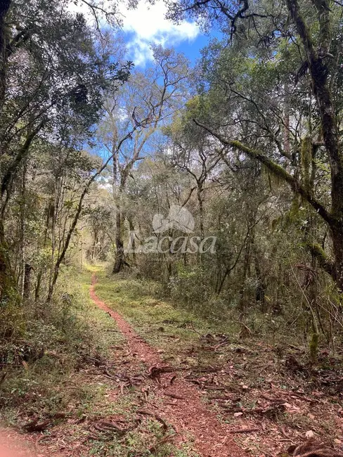 Foto 2 de Terreno / Lote à venda em Guarapuava - PR