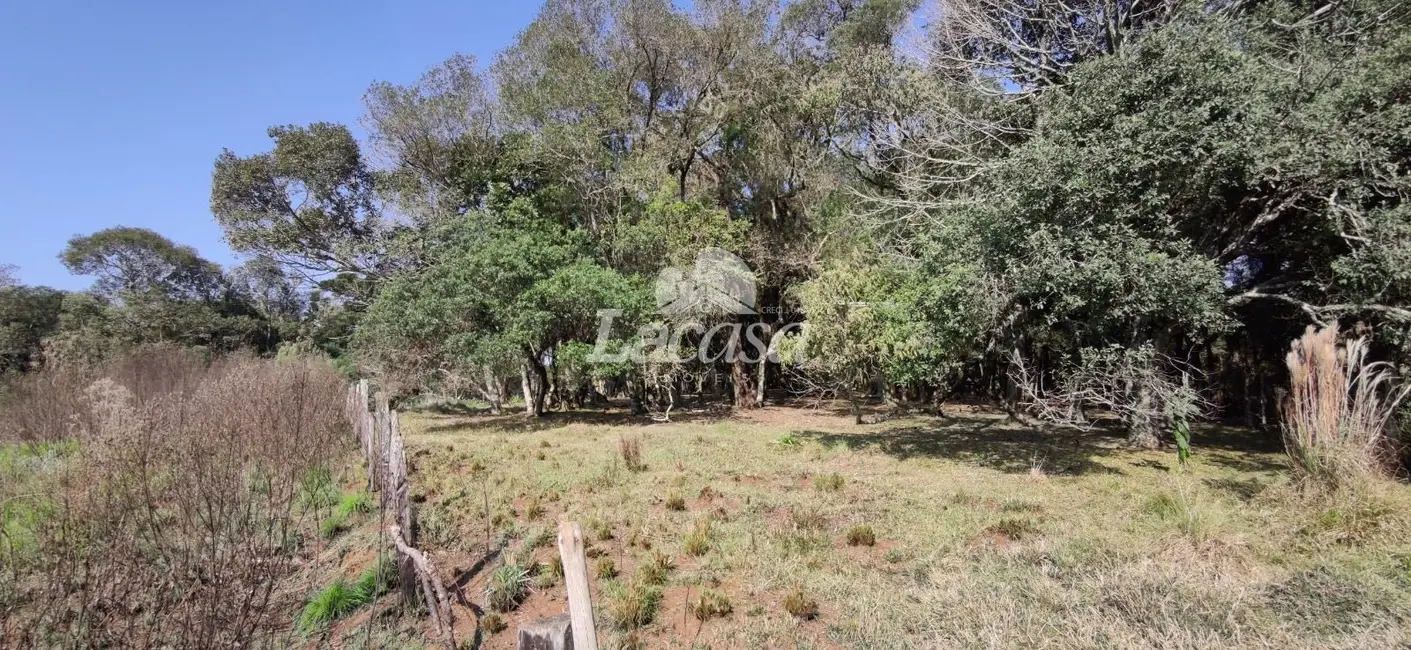 Foto 2 de Terreno / Lote à venda, 18000m2 em Imóvel Morro Alto, Guarapuava - PR
