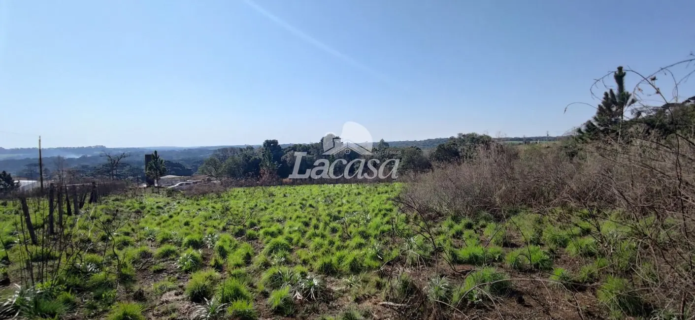 Foto 4 de Terreno / Lote à venda, 18000m2 em Imóvel Morro Alto, Guarapuava - PR