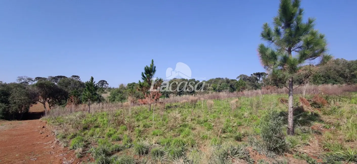 Foto 3 de Terreno / Lote à venda, 18000m2 em Imóvel Morro Alto, Guarapuava - PR