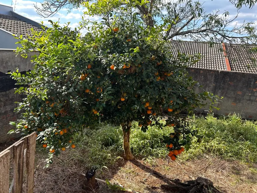 Foto 2 de Terreno / Lote à venda, 325m2 em Alto da XV, Guarapuava - PR