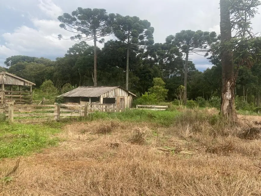 Foto 2 de Terreno / Lote à venda, 484000m2 em Imóvel Morro Alto, Guarapuava - PR