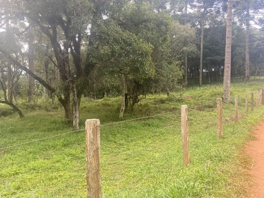 Foto 8 de Terreno / Lote à venda, 484000m2 em Imóvel Morro Alto, Guarapuava - PR