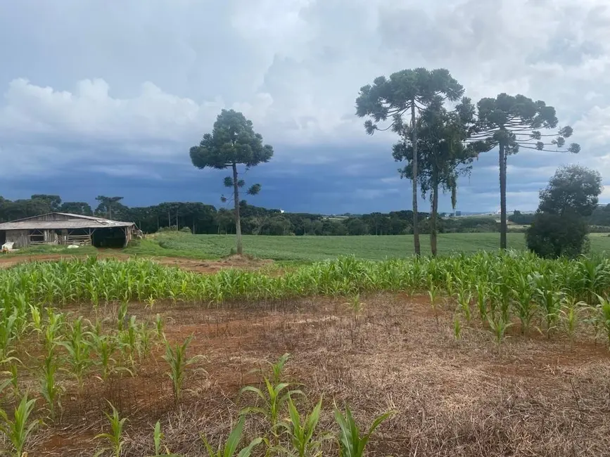 Foto 9 de Terreno / Lote à venda, 484000m2 em Imóvel Morro Alto, Guarapuava - PR