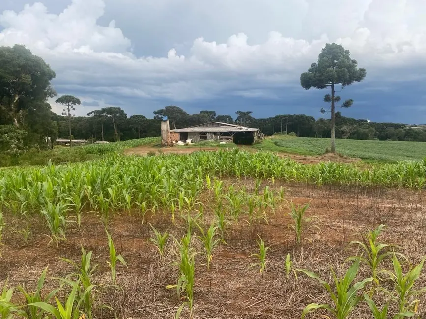 Foto 3 de Terreno / Lote à venda, 484000m2 em Imóvel Morro Alto, Guarapuava - PR