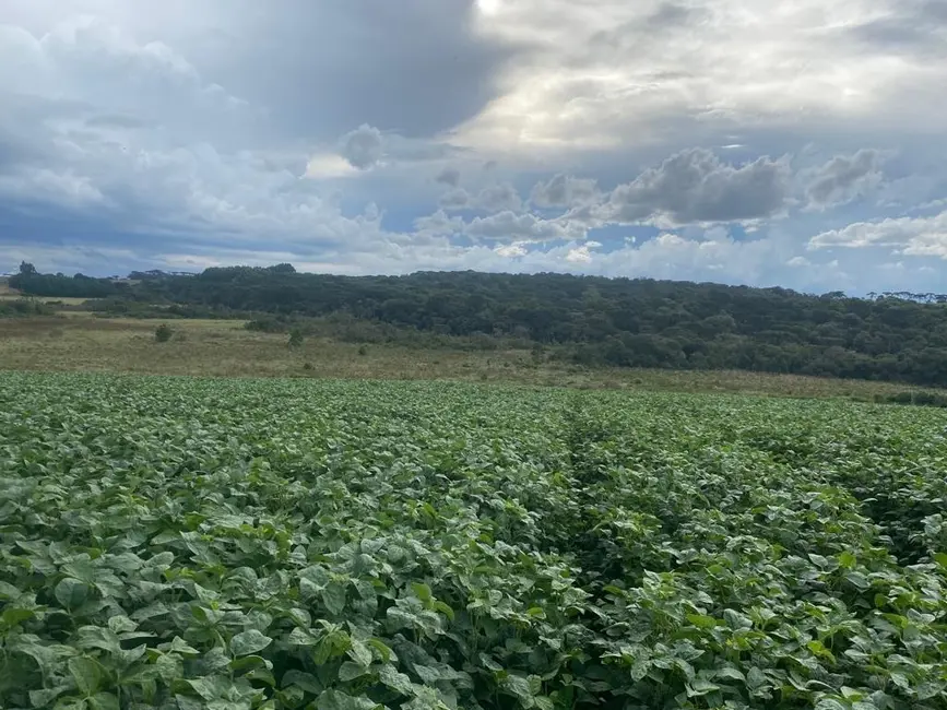Foto 6 de Terreno / Lote à venda, 484000m2 em Imóvel Morro Alto, Guarapuava - PR